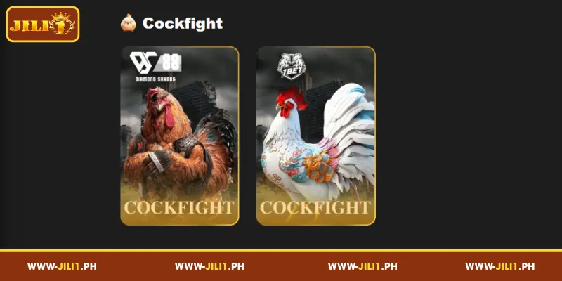 DS88 Diamond Sabong and 1BET: Platform Insights