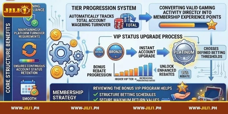 Overview of JILI1 VIP Customers